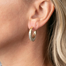 Load image into Gallery viewer, Glittering Gold Hoop Earrings