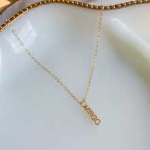Load image into Gallery viewer, Zodiac Word Bar Necklace
